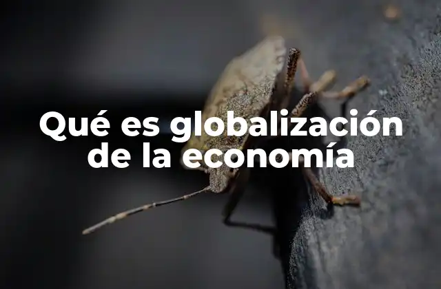 Qué es Globalización de la Economía