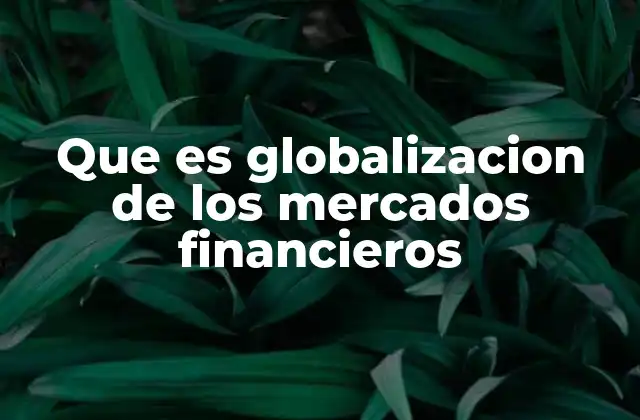 Que es Globalizacion de los Mercados Financieros