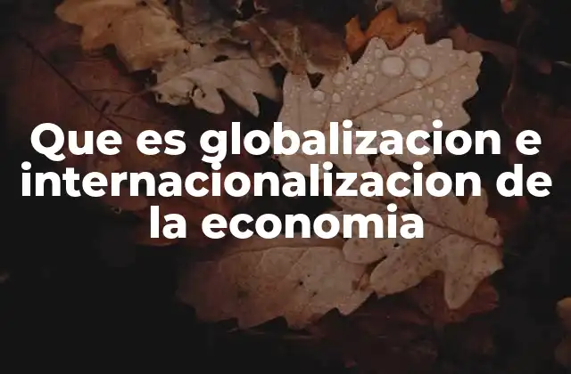 Que es Globalizacion e Internacionalizacion de la Economia