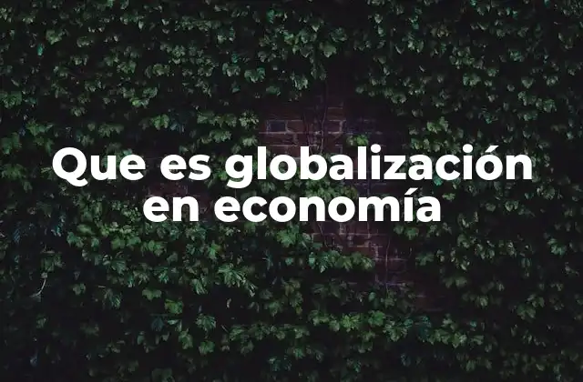 Que es Globalización en Economía