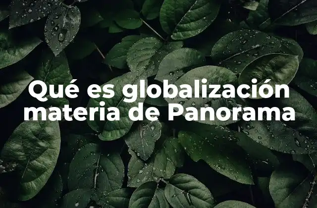 Qué es Globalización Materia de Panorama