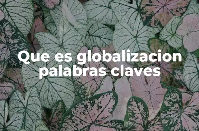 Que es Globalizacion Palabras Claves