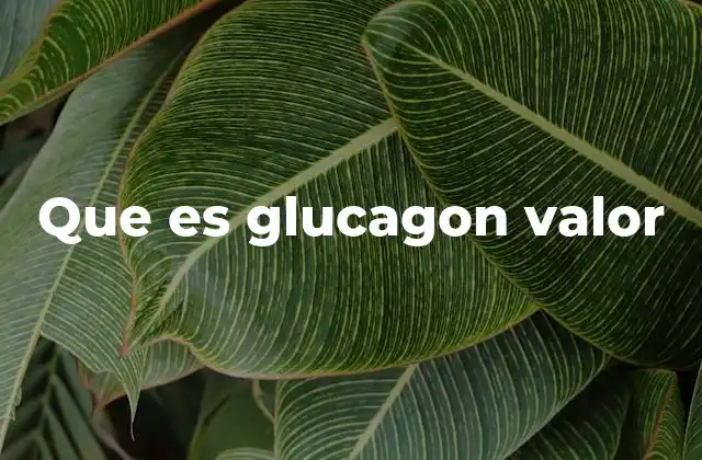 Que es Glucagon Valor 2 El papel del glucagón en la regulación de la glucosa