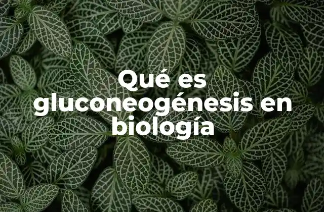 Qué es Gluconeogénesis en Biología