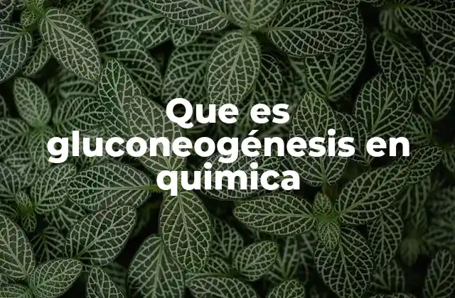 El papel de la gluconeogénesis en el metabolismo energético