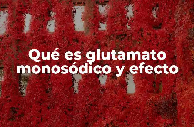 El papel del glutamato monosódico en la industria alimentaria