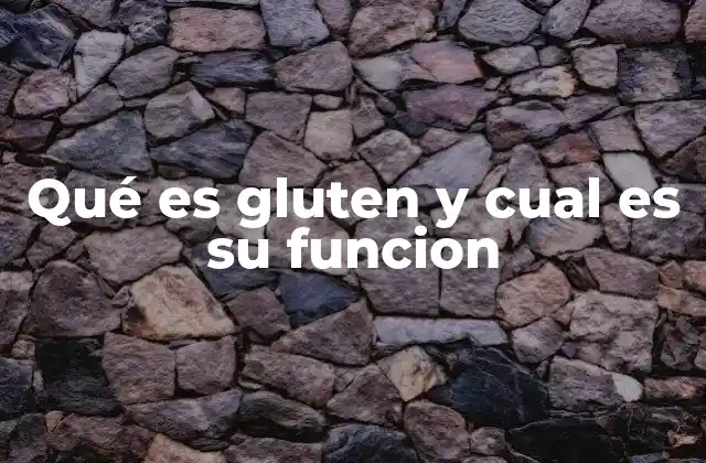 Qué es Gluten y Cual es Su Funcion