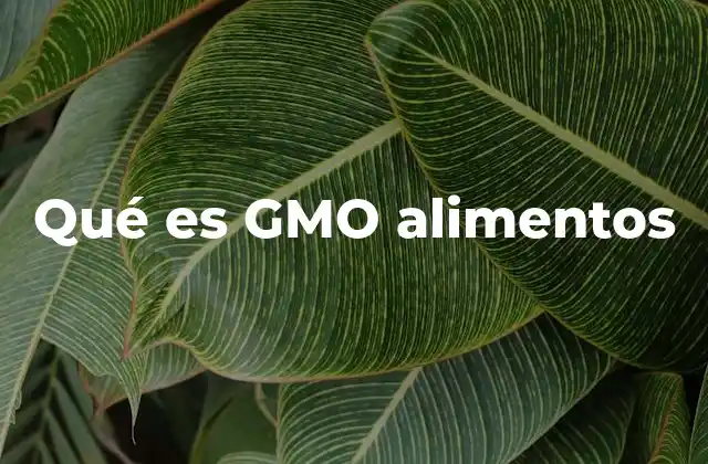 Qué es Gmo Alimentos