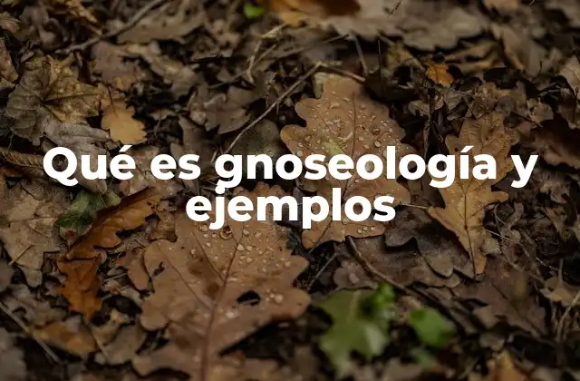 Qué es Gnoseología y Ejemplos