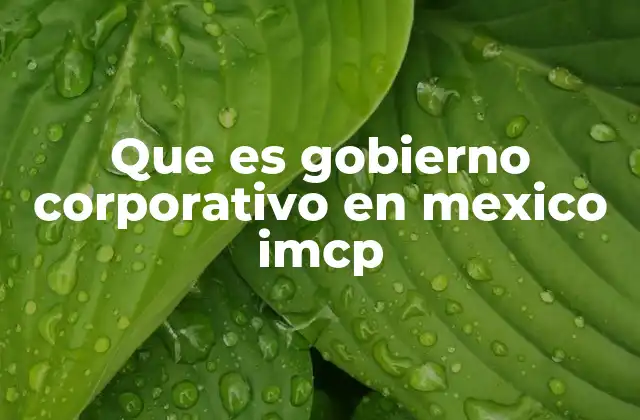 La importancia del gobierno corporativo en instituciones públicas como el IMCP