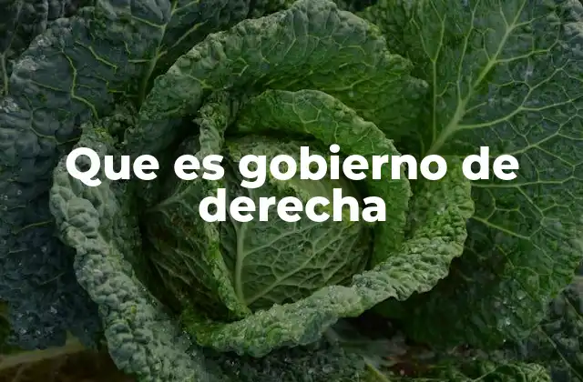 Características comunes de los gobiernos de derecha