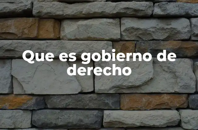 Que es Gobierno de Derecho