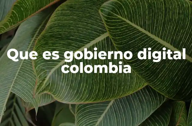 Que es Gobierno Digital Colombia