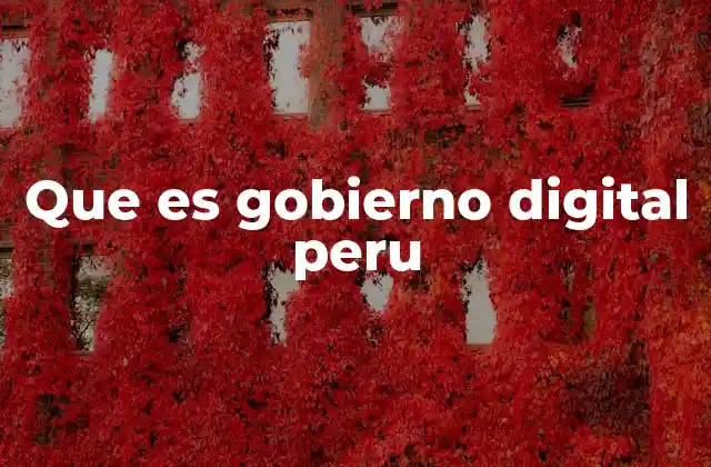 Que es Gobierno Digital Peru
