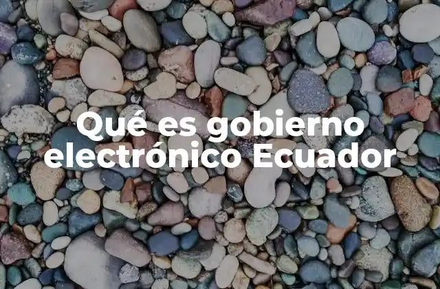 Qué es Gobierno Electrónico Ecuador 2 La transformación digital de los servicios públicos en Ecuador