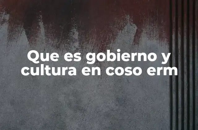 Que es Gobierno y Cultura en Coso Erm
