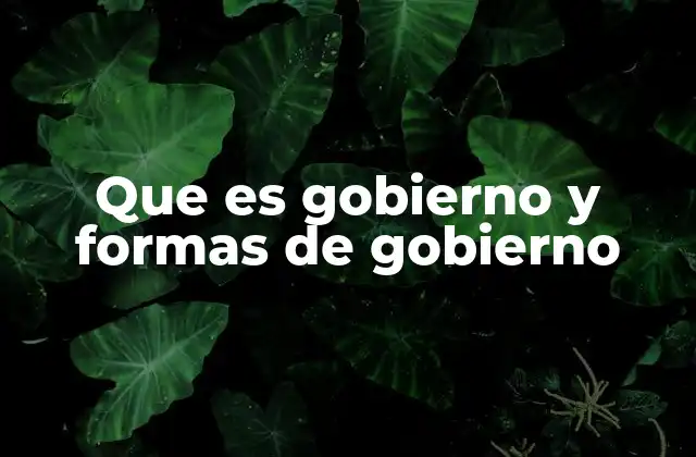 Que es Gobierno y Formas de Gobierno