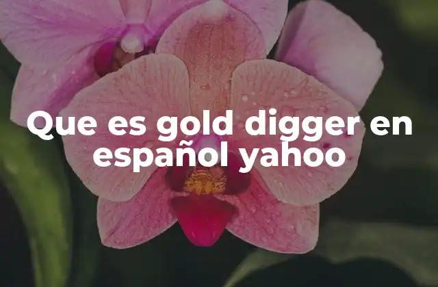 Que es Gold Digger en Español Yahoo