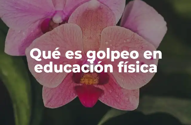 Qué es Golpeo en Educación Física