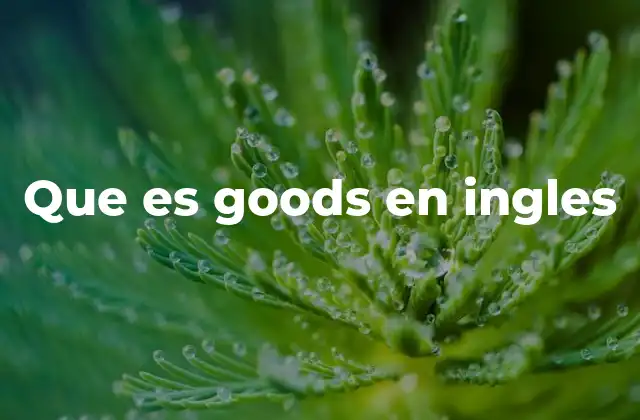 Que es Goods en Ingles