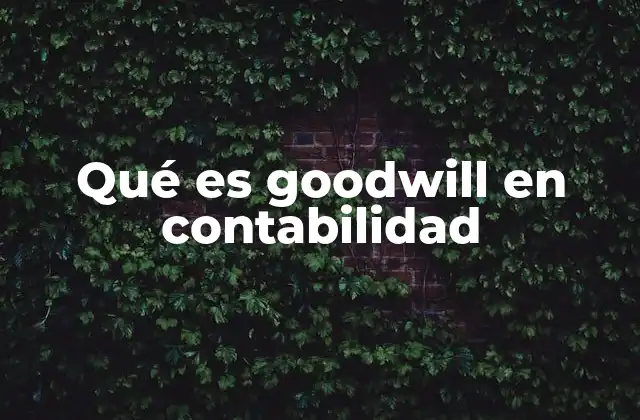 Qué es Goodwill en Contabilidad