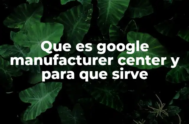 Cómo Google Manufacturer Center mejora la visibilidad de los productos