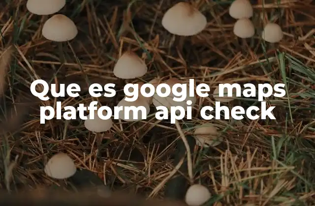 Cómo asegurar una correcta integración de Google Maps API