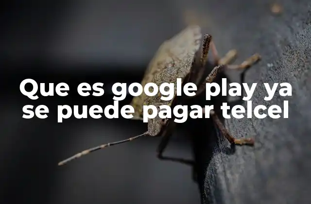 Que es Google Play Ya Se Puede Pagar Telcel