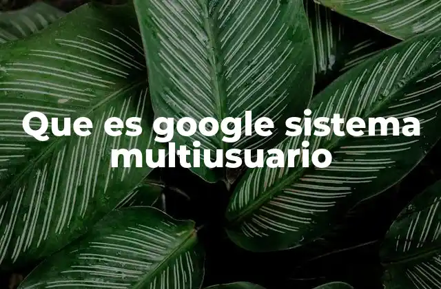 Que es Google Sistema Multiusuario