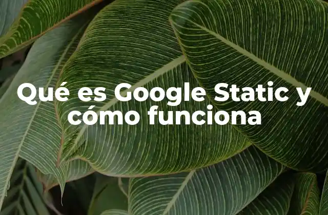 Cómo Google Static mejora el rendimiento web