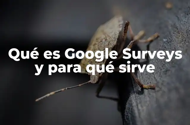 Qué es Google Surveys y para Qué Sirve