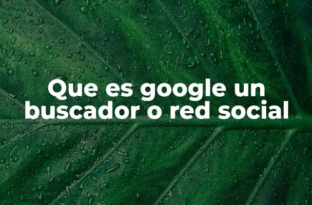 Que es Google un Buscador o Red Social