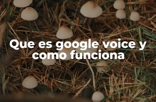 Que es Google Voice y como Funciona