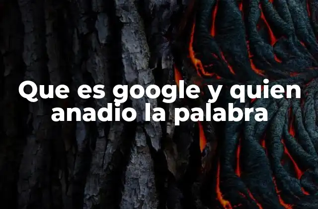 Que es Google y Quien Anadio la Palabra