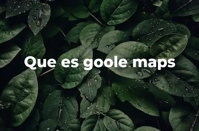 Que es Goole Maps