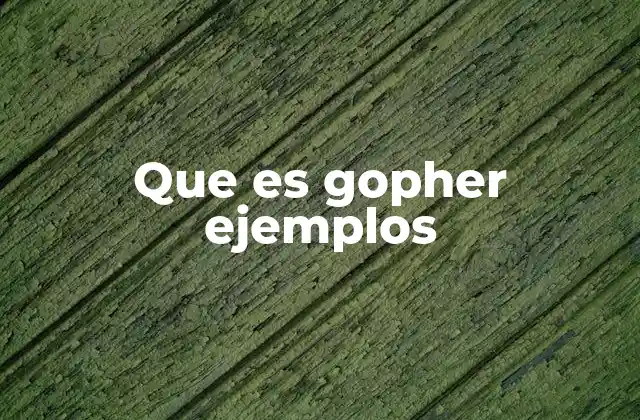 Que es Gopher Ejemplos