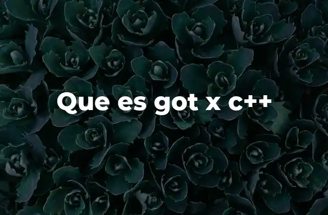 Que es Got X C++