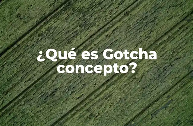 ¿qué es Gotcha Concepto?
