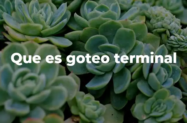 Que es Goteo Terminal