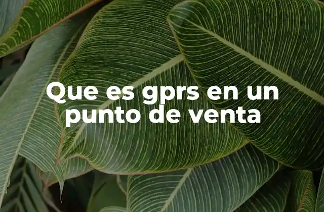 Que es Gprs en un Punto de Venta