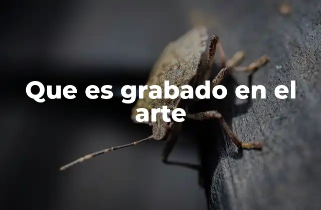 Que es Grabado en el Arte