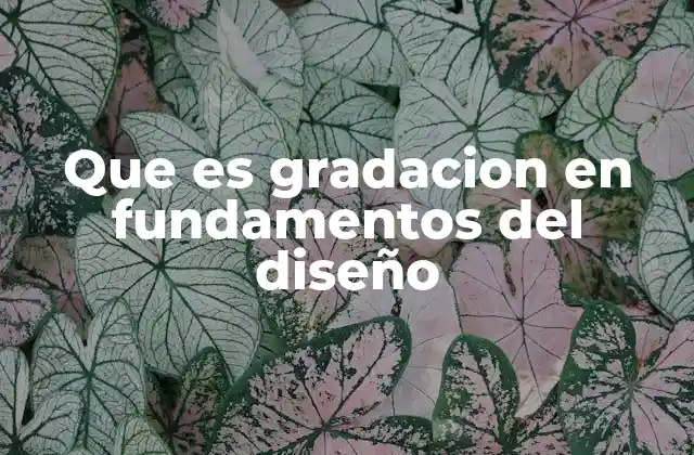 Que es Gradacion en Fundamentos Del Diseño