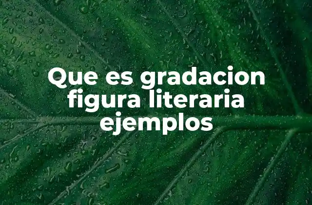 La progresión ordenada en la construcción literaria