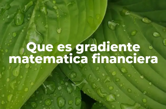 Que es Gradiente Matematica Financiera 2 Cómo se aplica el gradiente en cálculos financieros