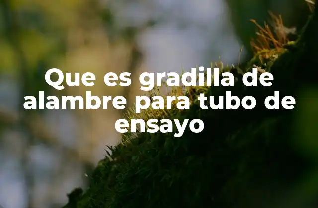 Que es Gradilla de Alambre para Tubo de Ensayo