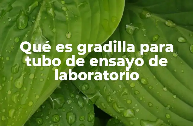 Qué es Gradilla para Tubo de Ensayo de Laboratorio