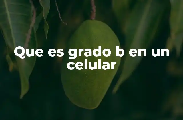 Entendiendo la clasificación de dispositivos móviles