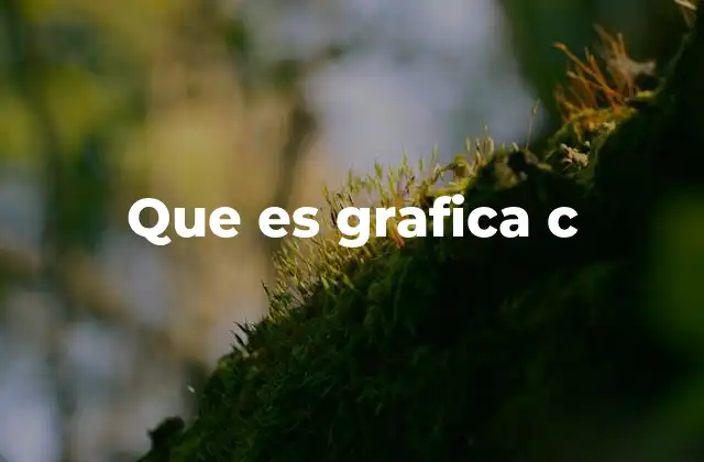 Que es Grafica C
