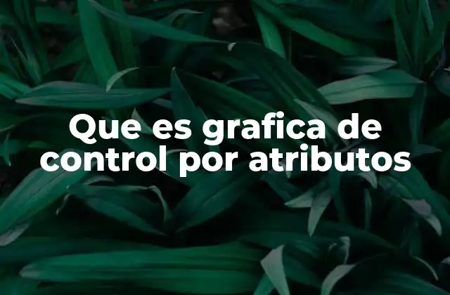 Que es Grafica de Control por Atributos