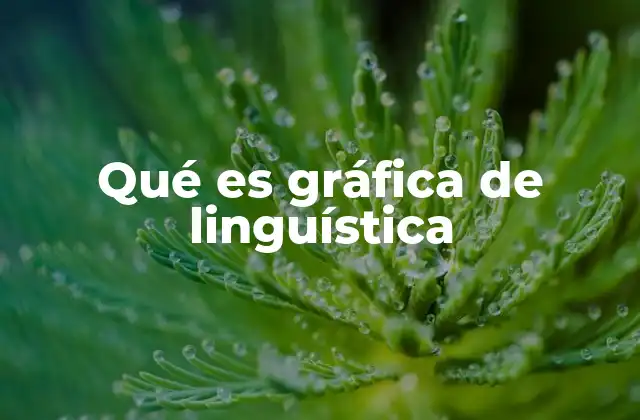 Qué es Gráfica de Linguística 2 Visualizando la estructura de la lengua